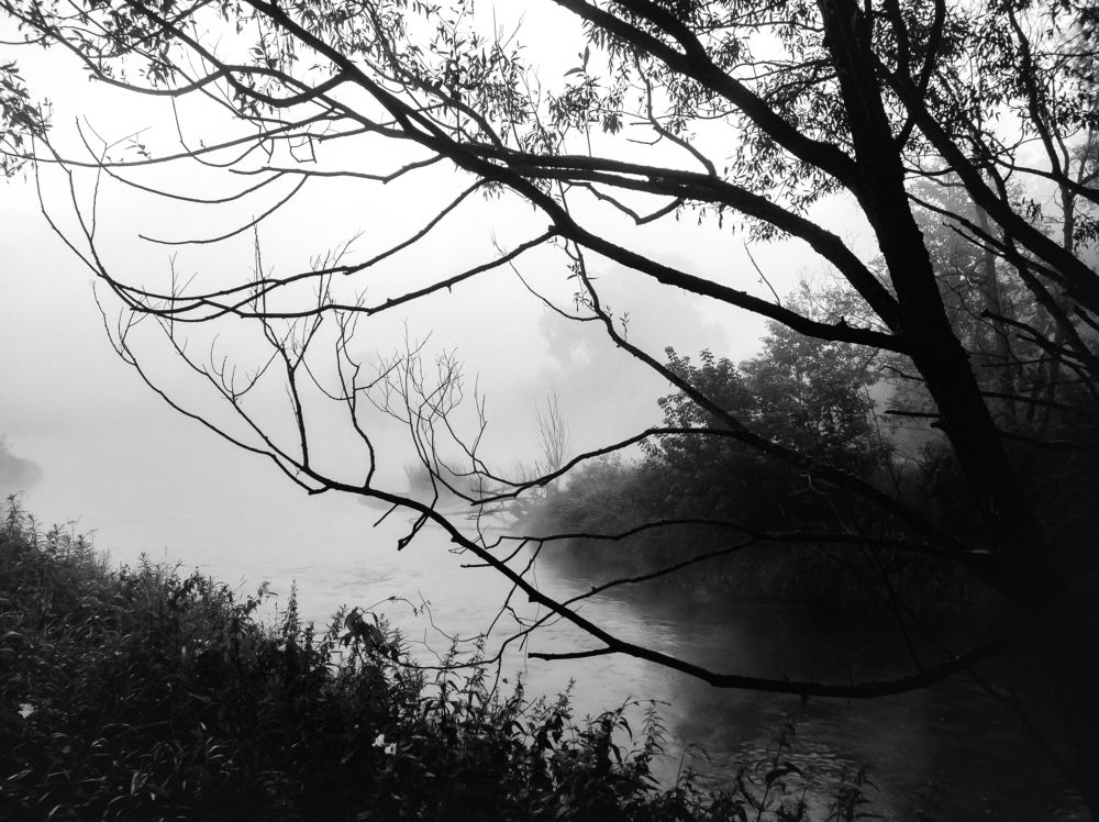 Фотография автора Пётр Чирков