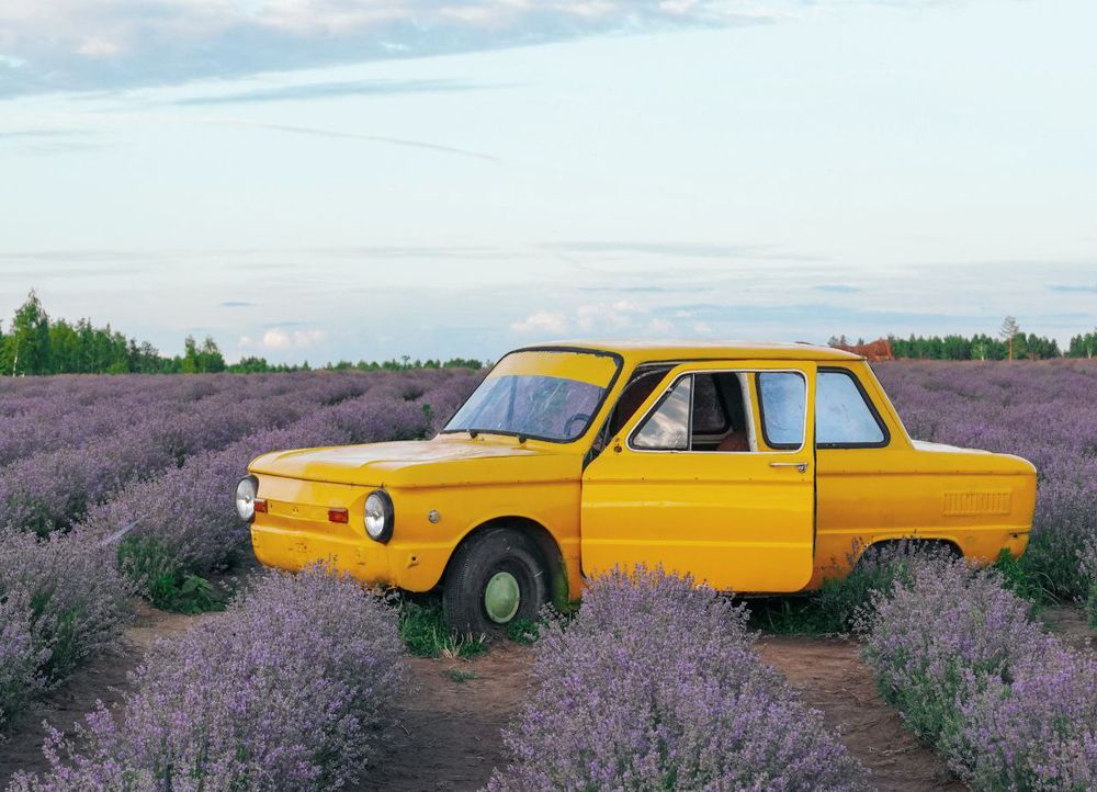 Photograph by Ольга Ларизадех