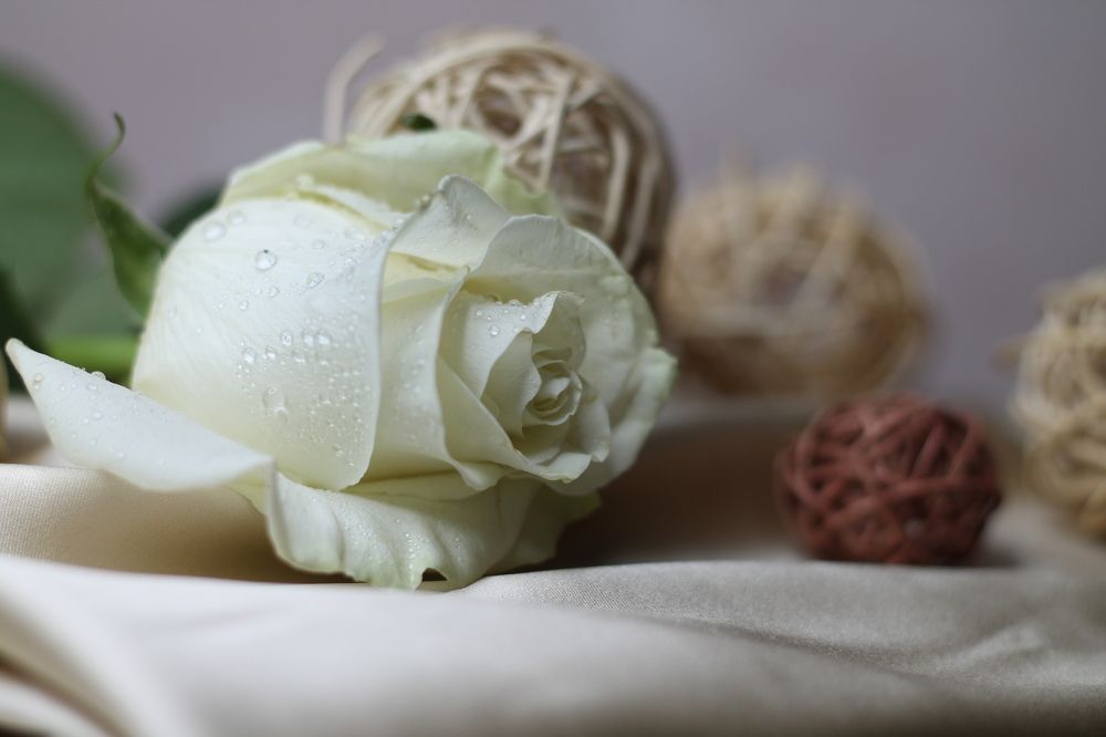 Photograph by Тамара Прибойченко