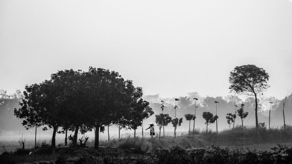 Photograph by Md. Al Amin Tusher