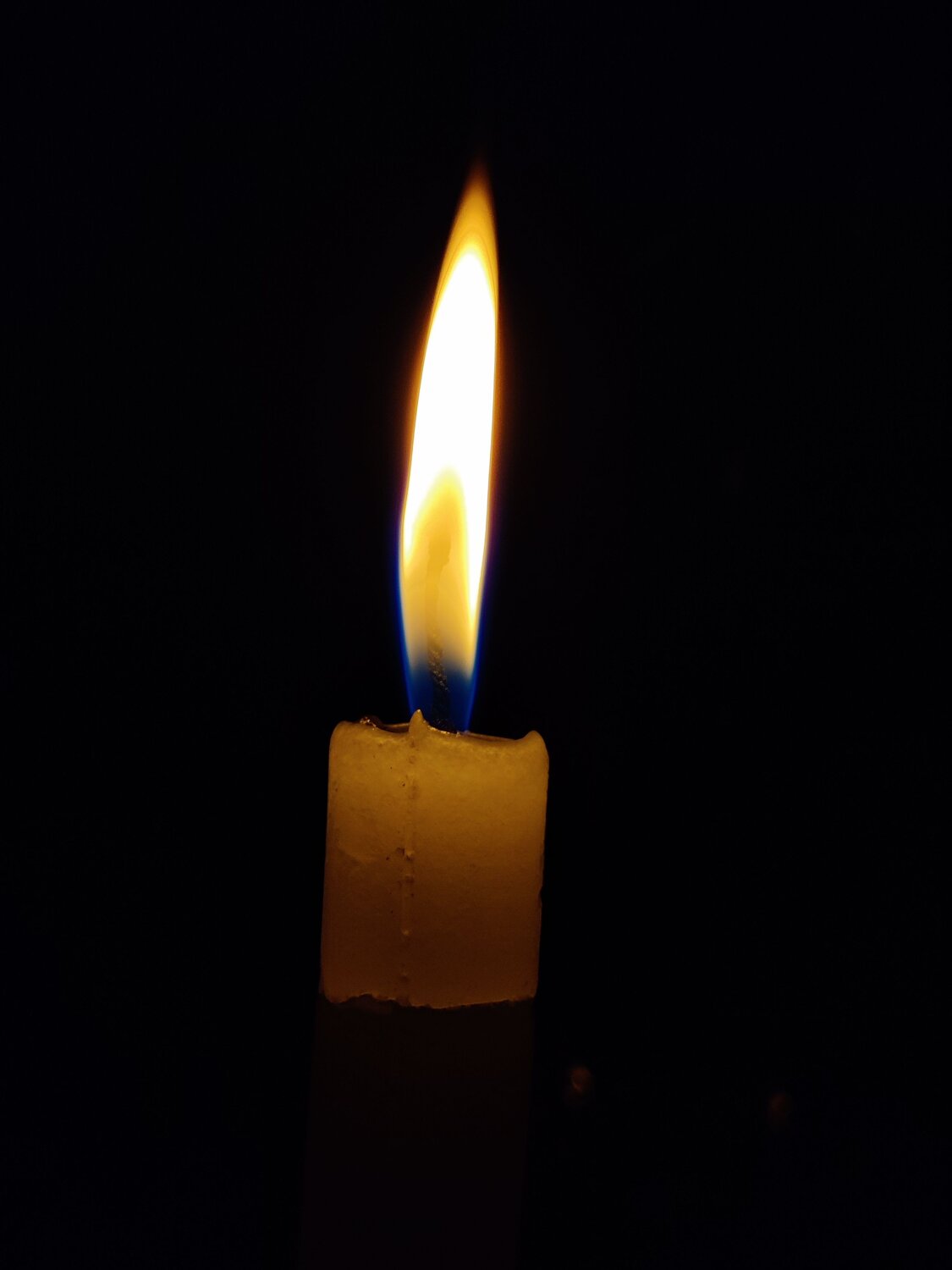 Photo #7828296