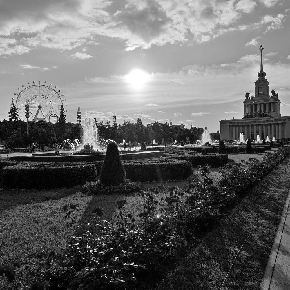 Photograph by DARIA DEMINA