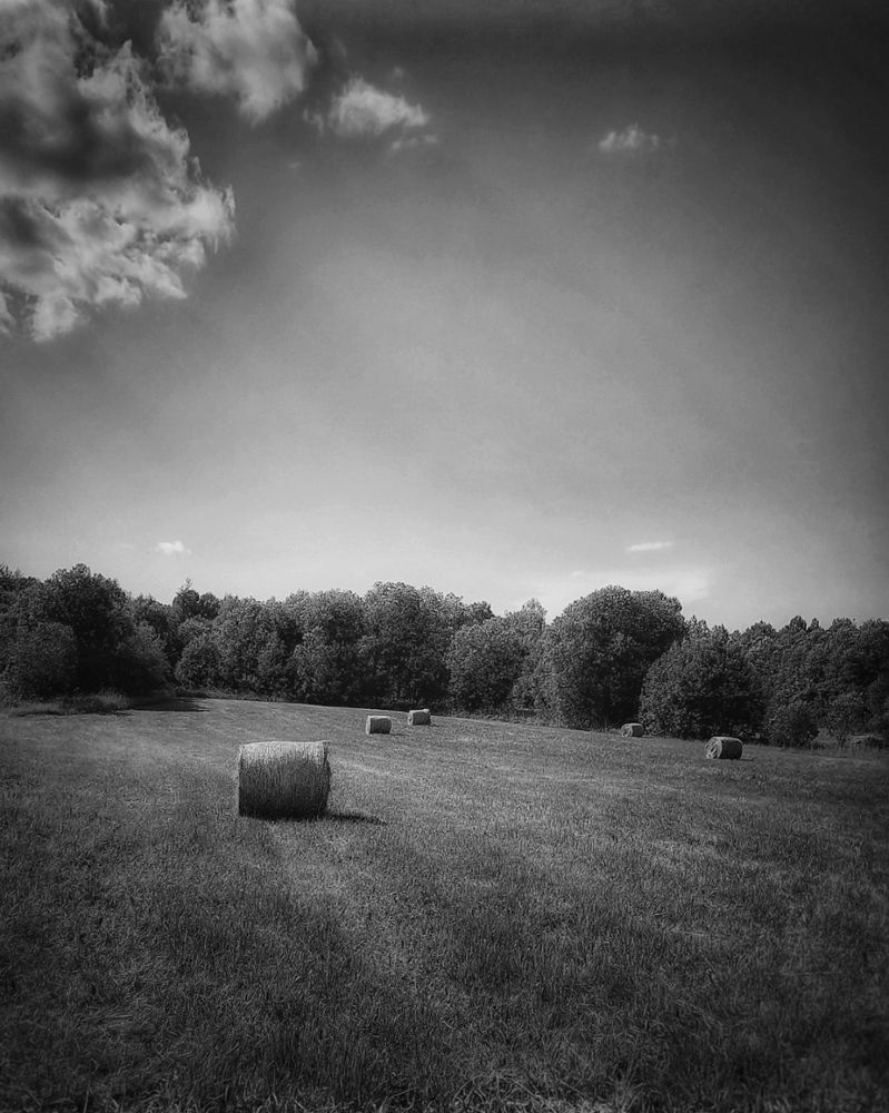 Photograph by Люда Яковлева