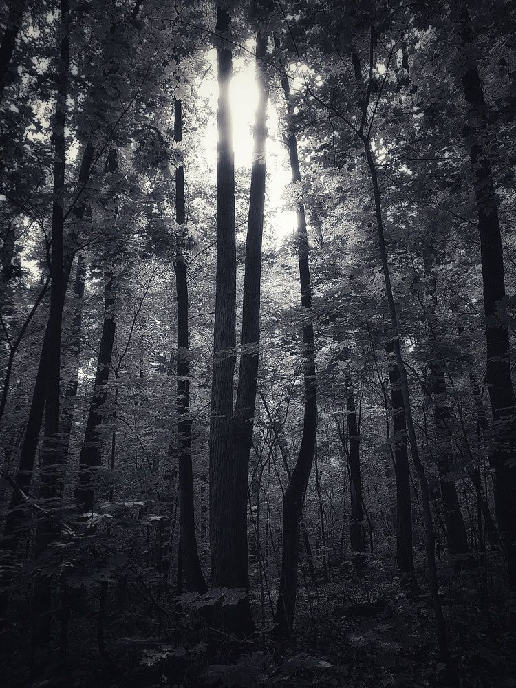 Photograph by Инга Сабанова