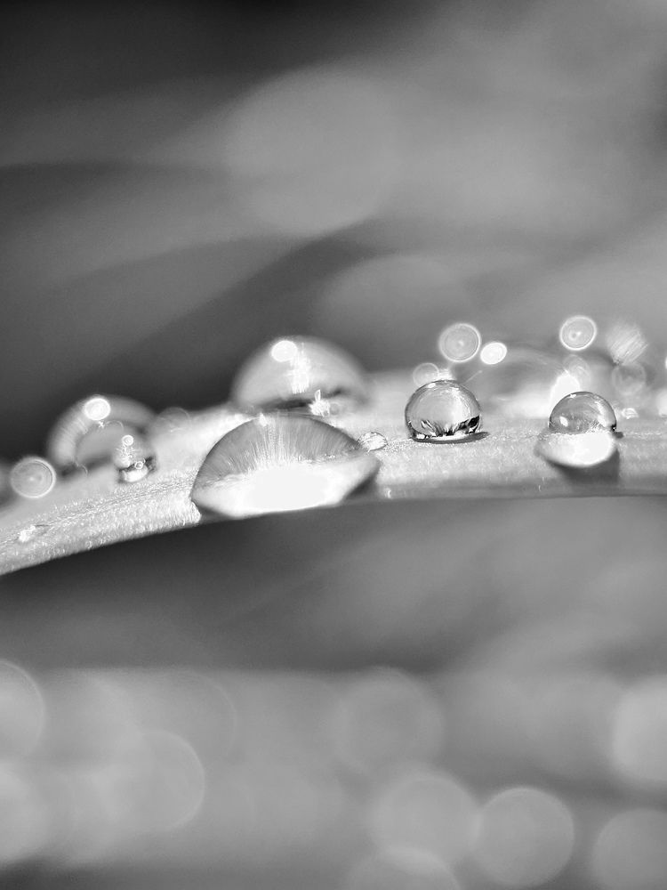 Photograph by Ольга Зимарина