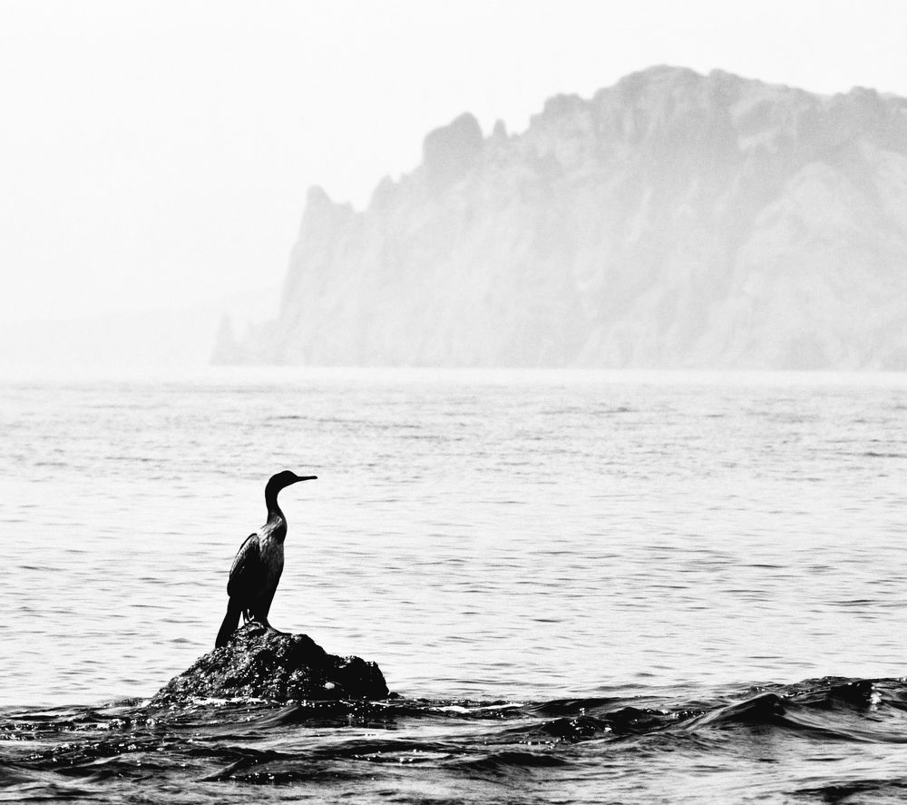 Photograph by Андрей Серый