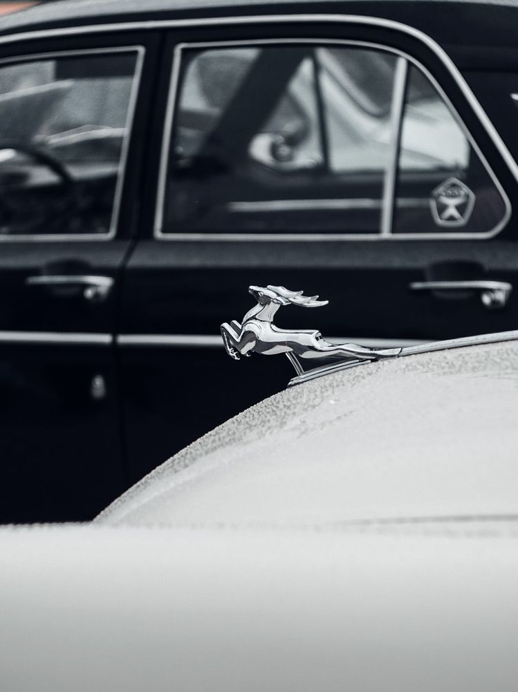 Photograph by Татьяна Шевченко