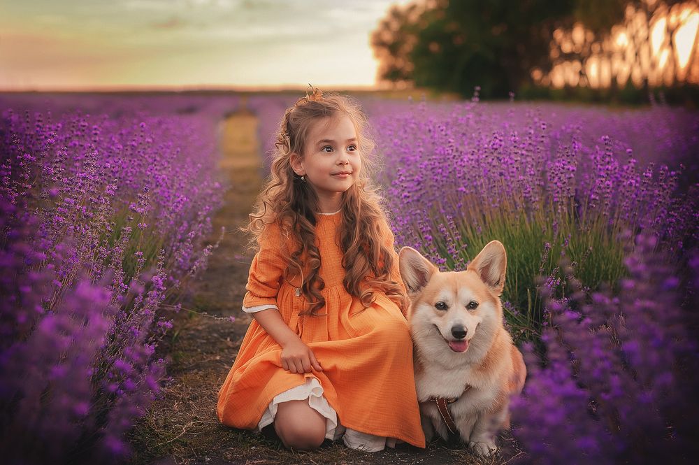 Прогулка в лаванде