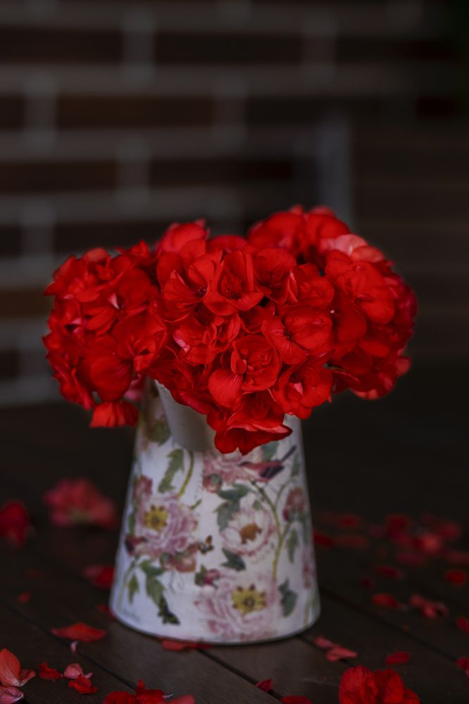 Photograph by Мария Аванесова