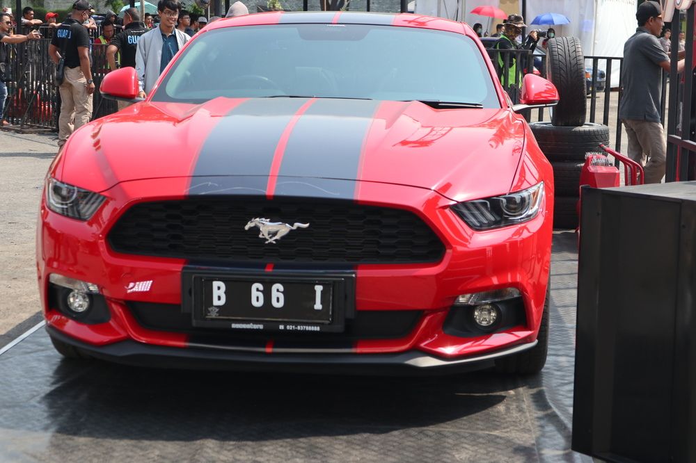 Фотография автора Ib Mang