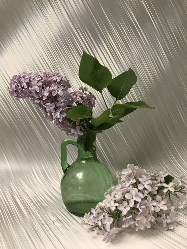 Photograph by Татьяна Шибанова