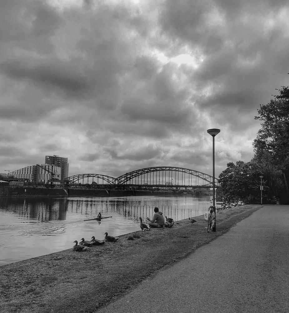 Фотография автора Laura Skwarek