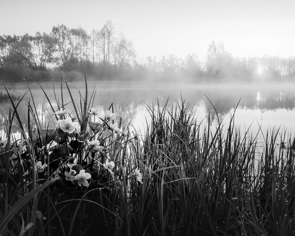 Photograph by Сергей Богданов