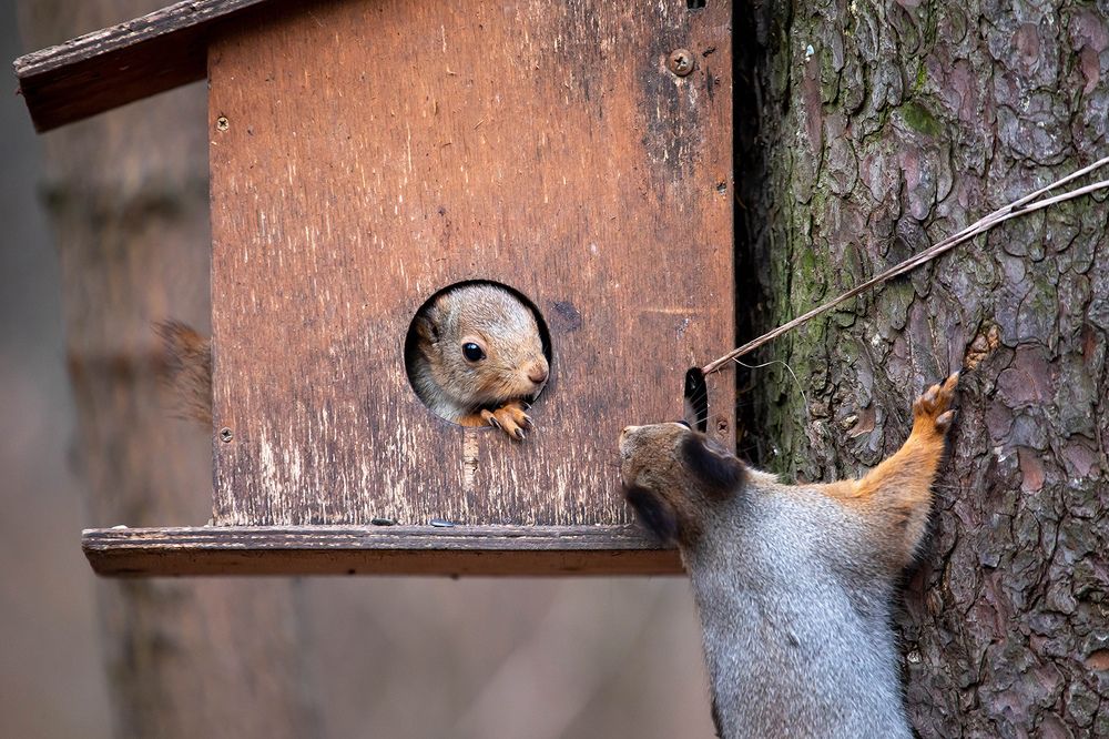 Photograph by Виктор