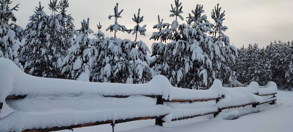 Photograph by Анна Якимова