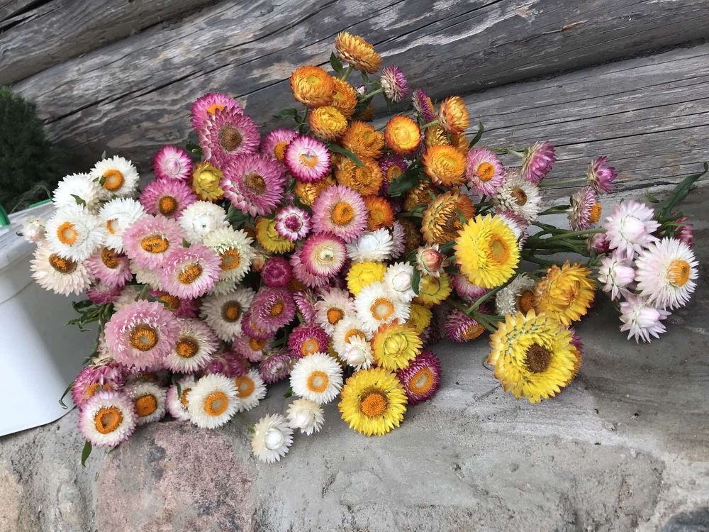 Photograph by Юлия