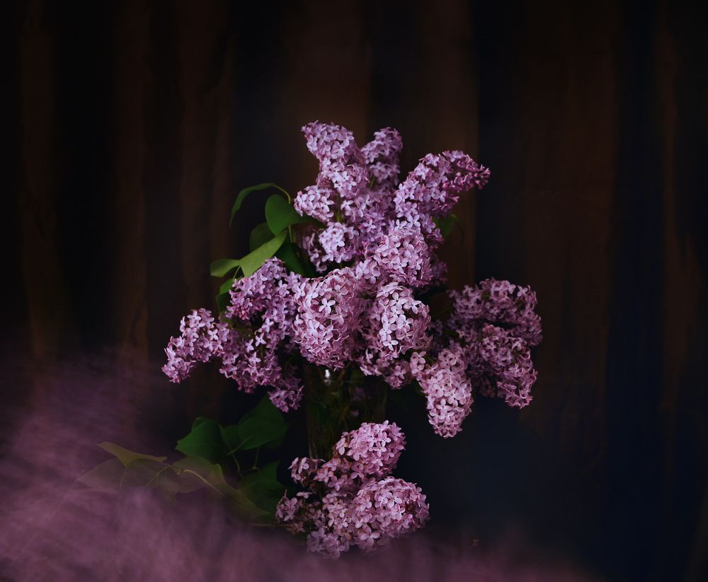 Photograph by Ирина Кленкова