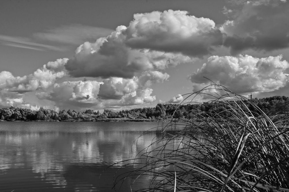 Фотография автора Анатолий Борисов