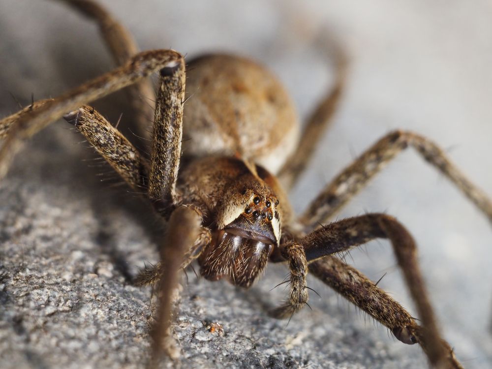 Photograph by андрей гусев