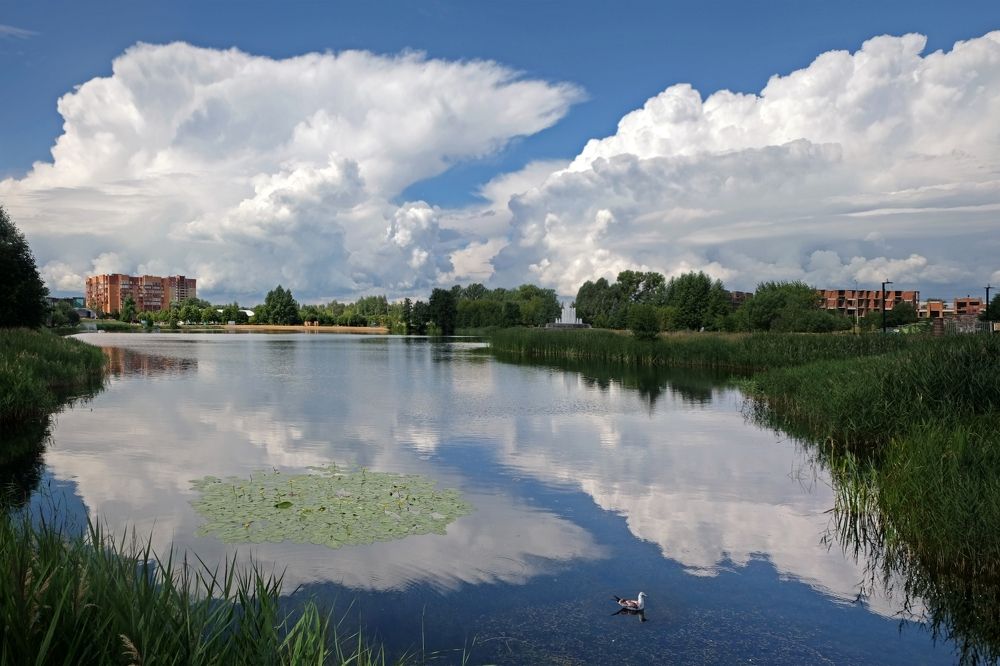 Городской пруд