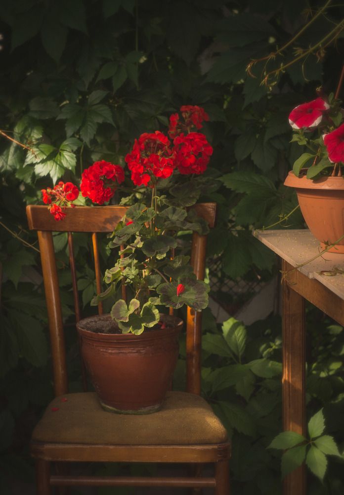 Photograph by Екатерина Вспышкина