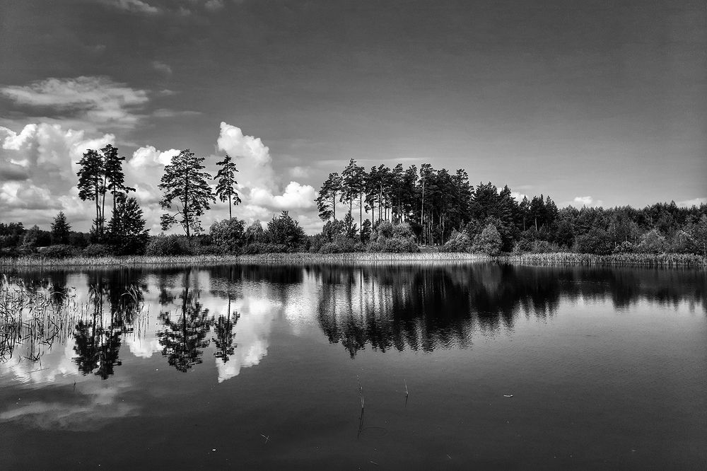 Photograph by Михаил Рассказ