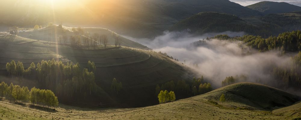 Photograph by George Alexandru