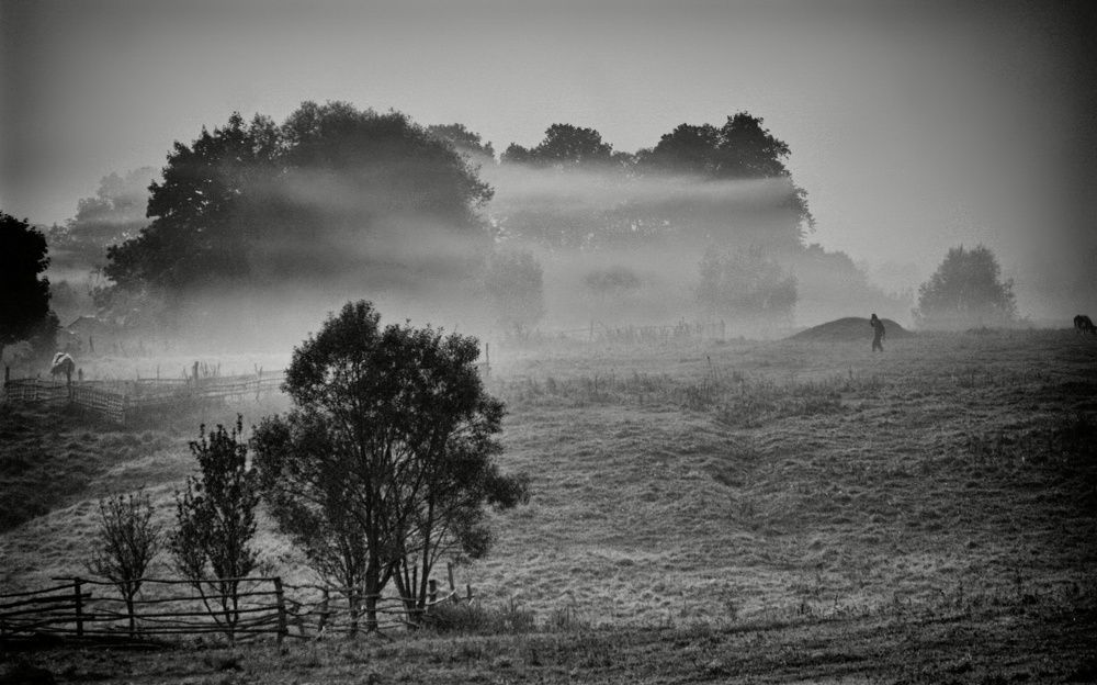 Photograph by александр