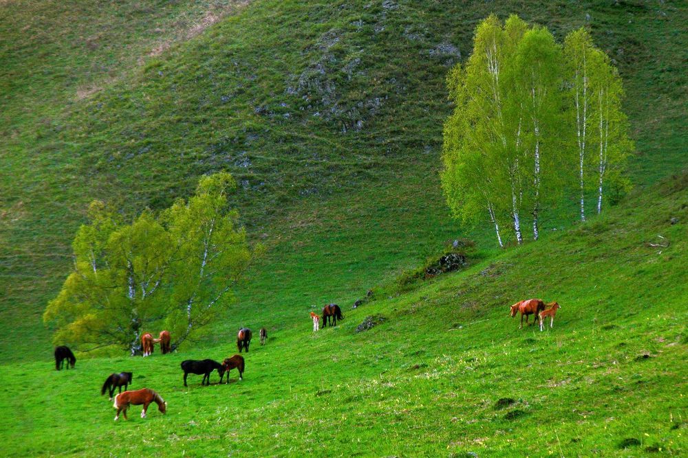 Photograph by Иноземцев Владимир