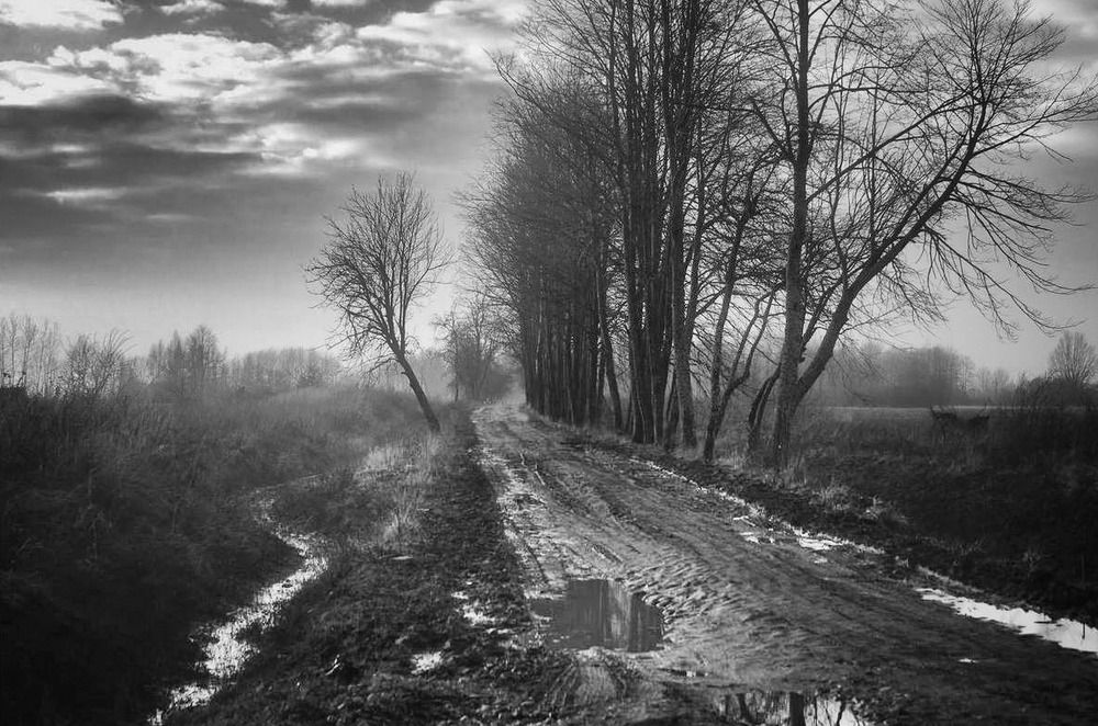 Photograph by александр