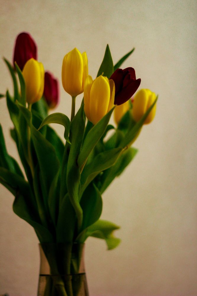 Photograph by Violetta Peskova