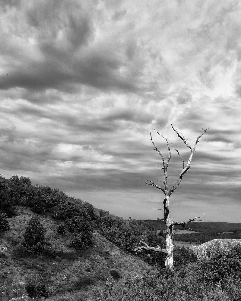 Одиночество