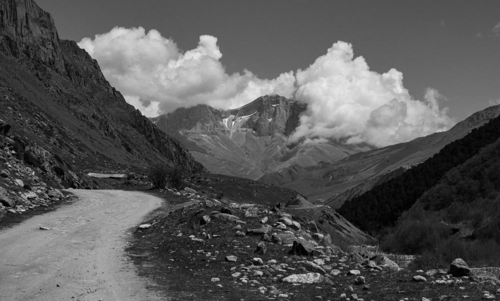 Photograph by Елена Шевченко