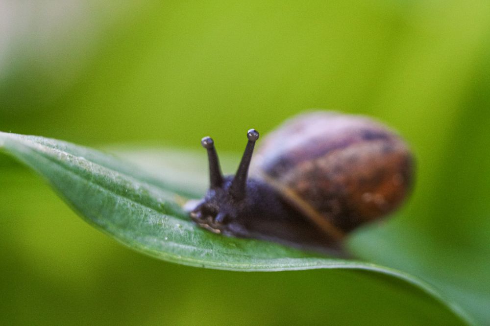 Photograph by Надежда