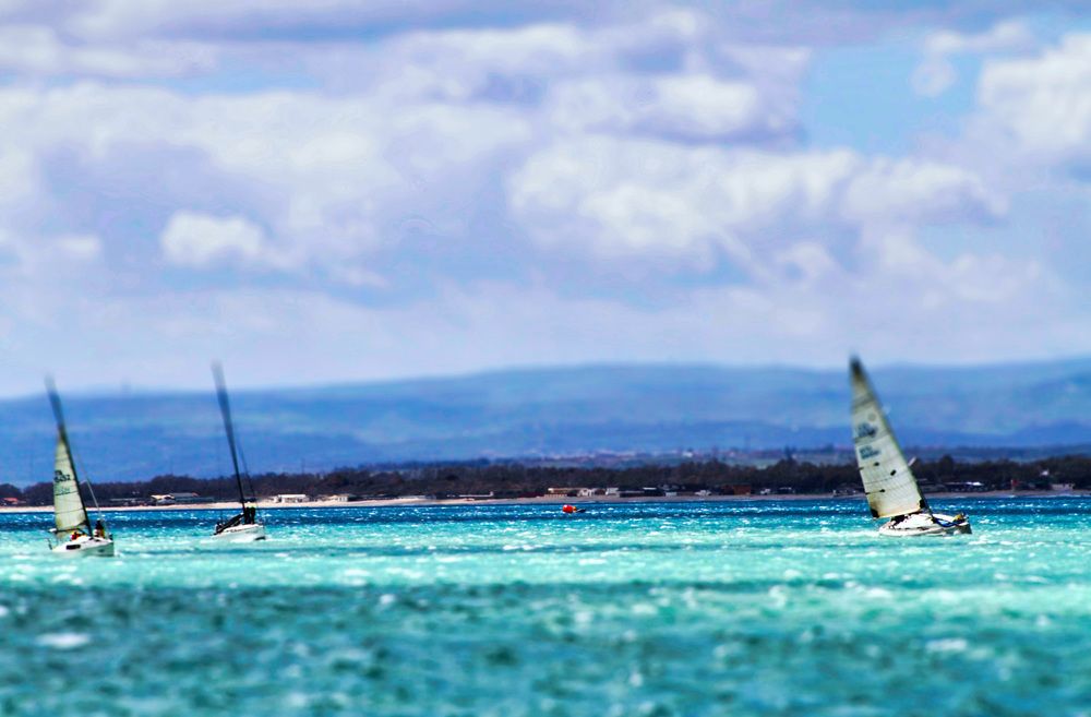 Photograph by Claudio Bonaccorsi