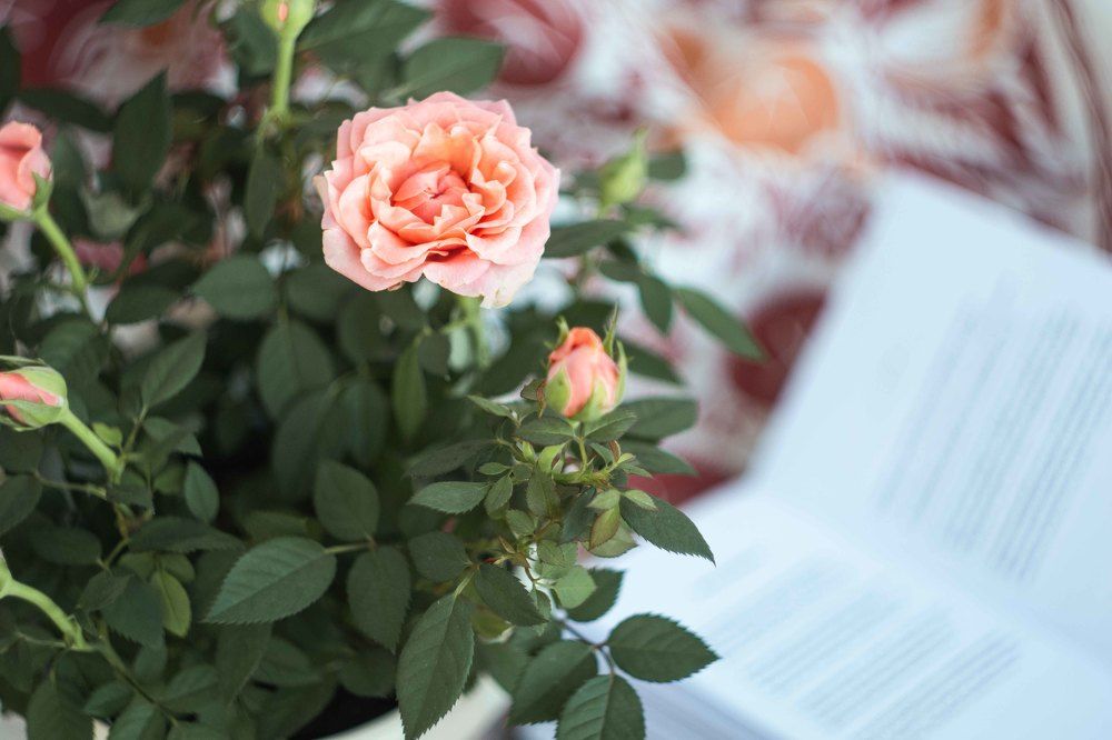 Photograph by Юлия Глебова