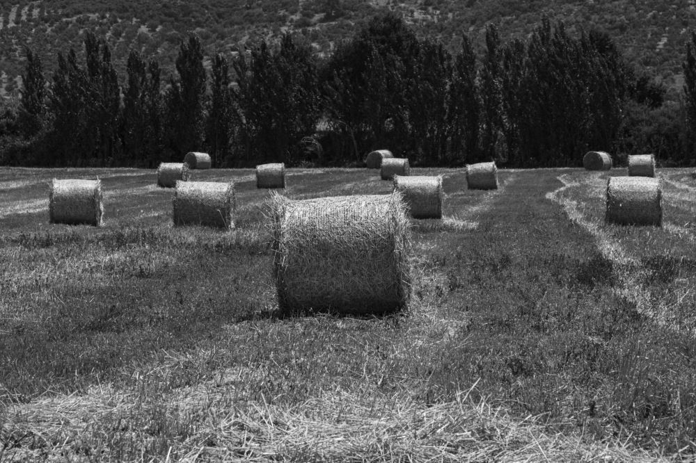 Photograph by Hasan Bayrak