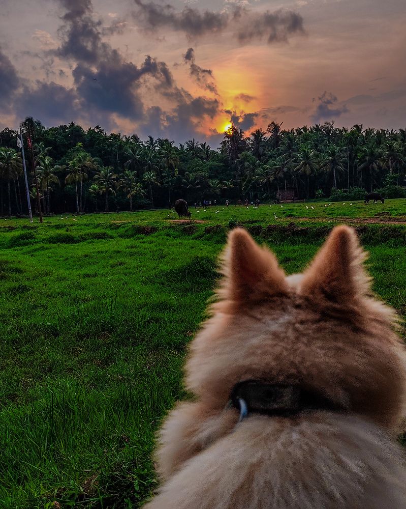 Photograph by Vaishnav K V