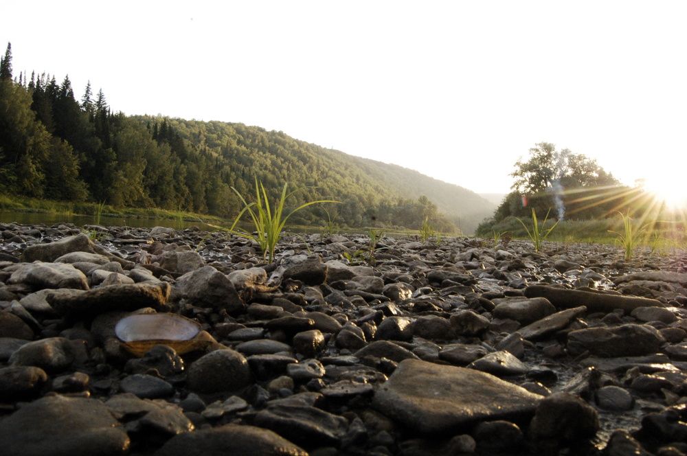 Photograph by Александр Райсон