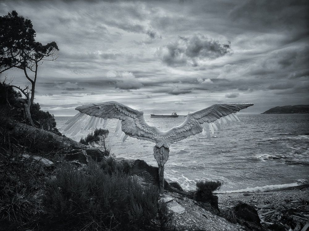 Photograph by Михаил Саидов