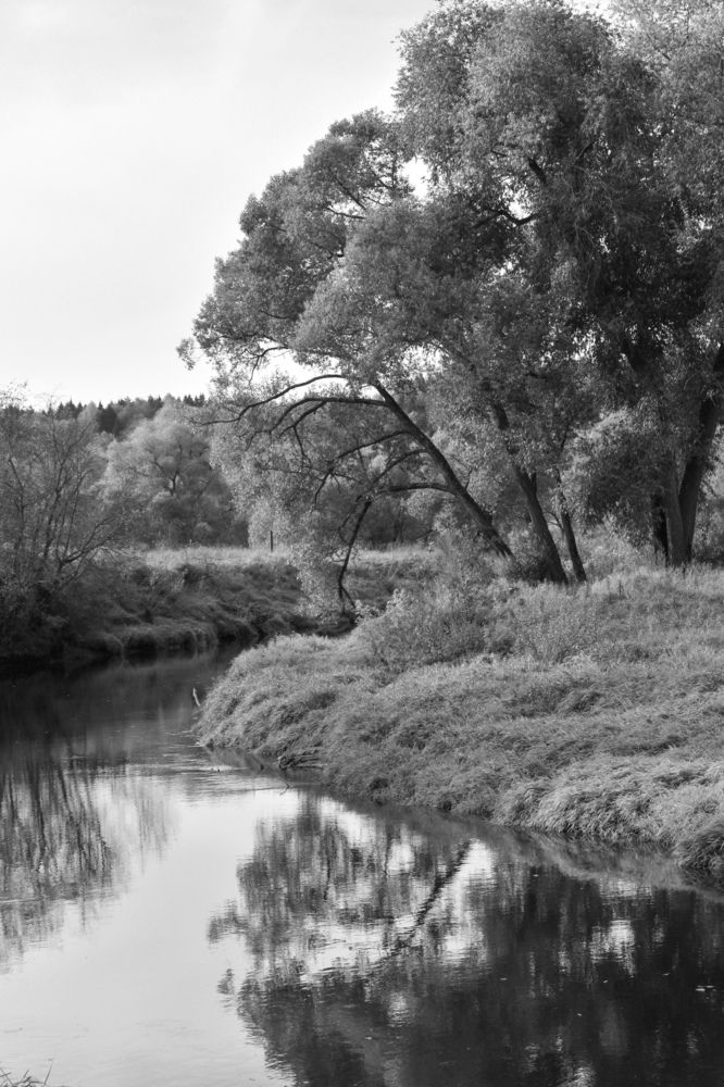 Photograph by Ксения Прохорова