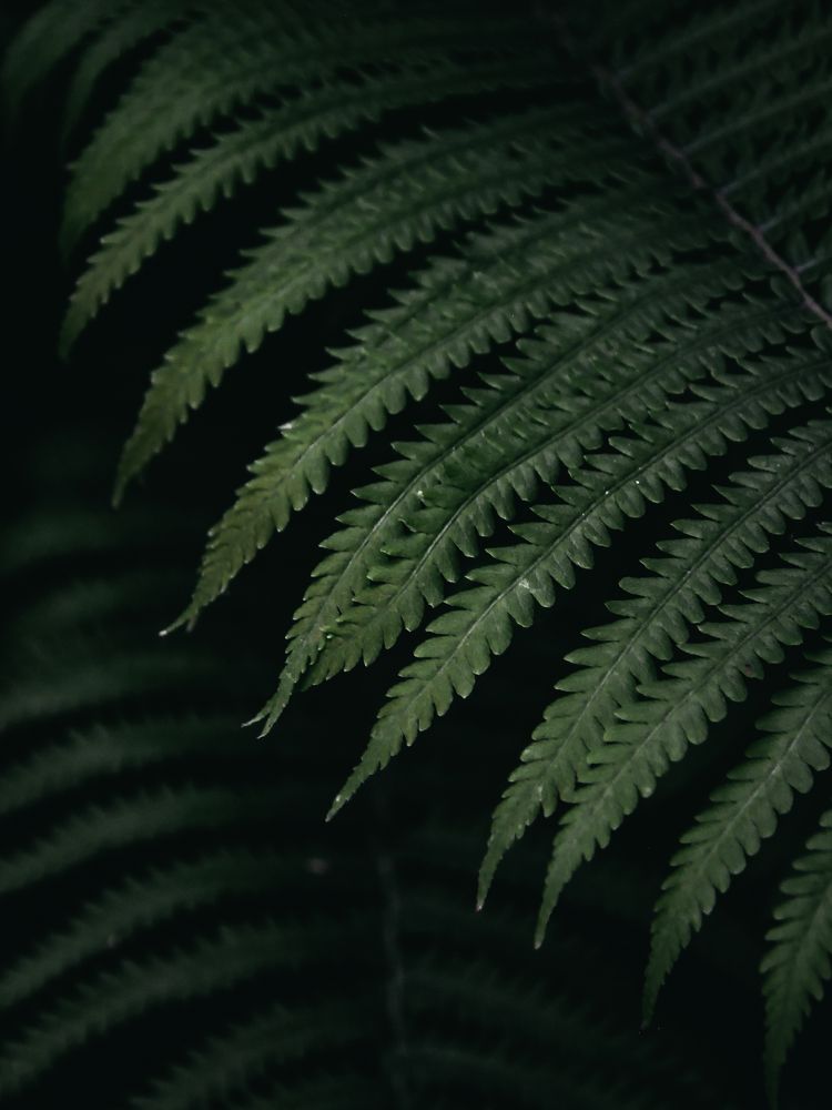 Photograph by Мария Матвеенко