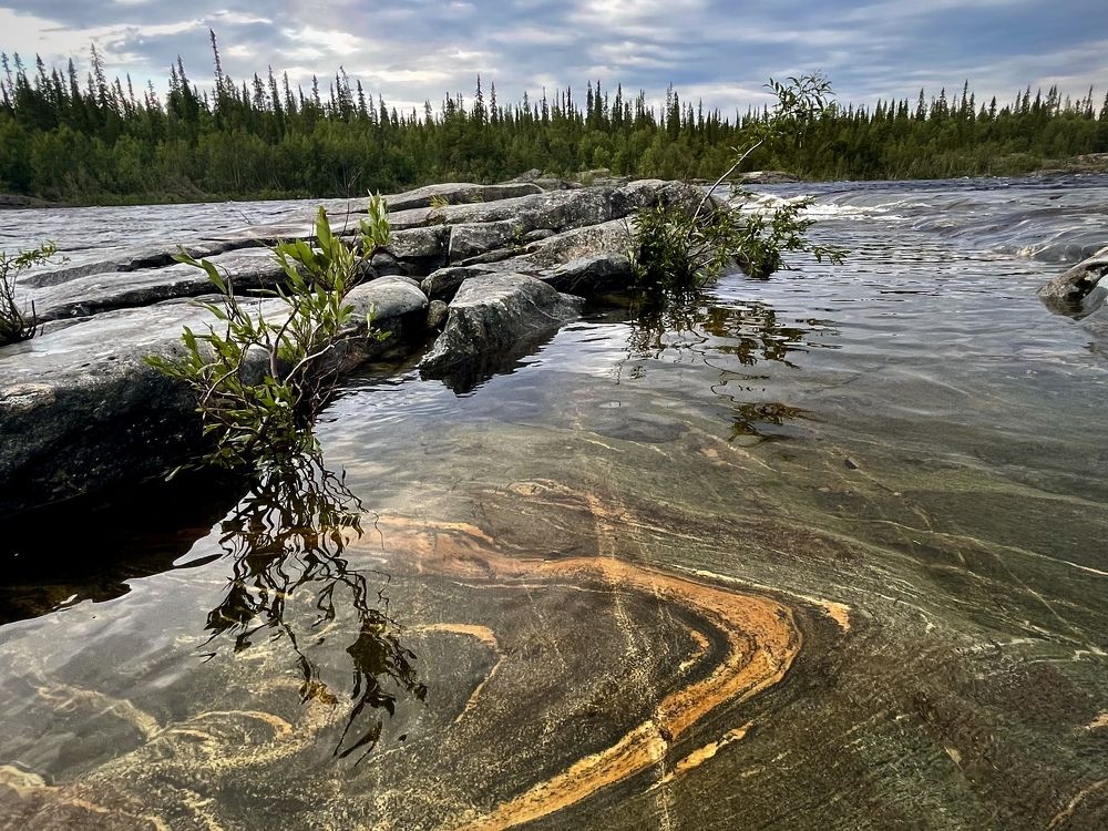 Фотография автора Юлия Шумейко
