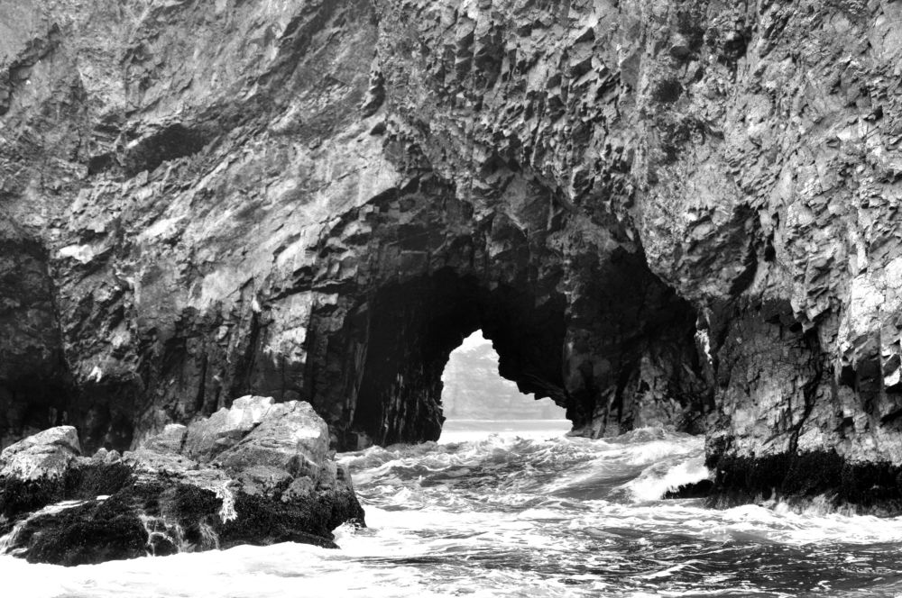 Photograph by Хвостов владимир Владимирович