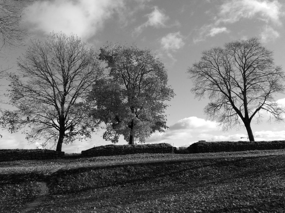 Фотография автора Natali