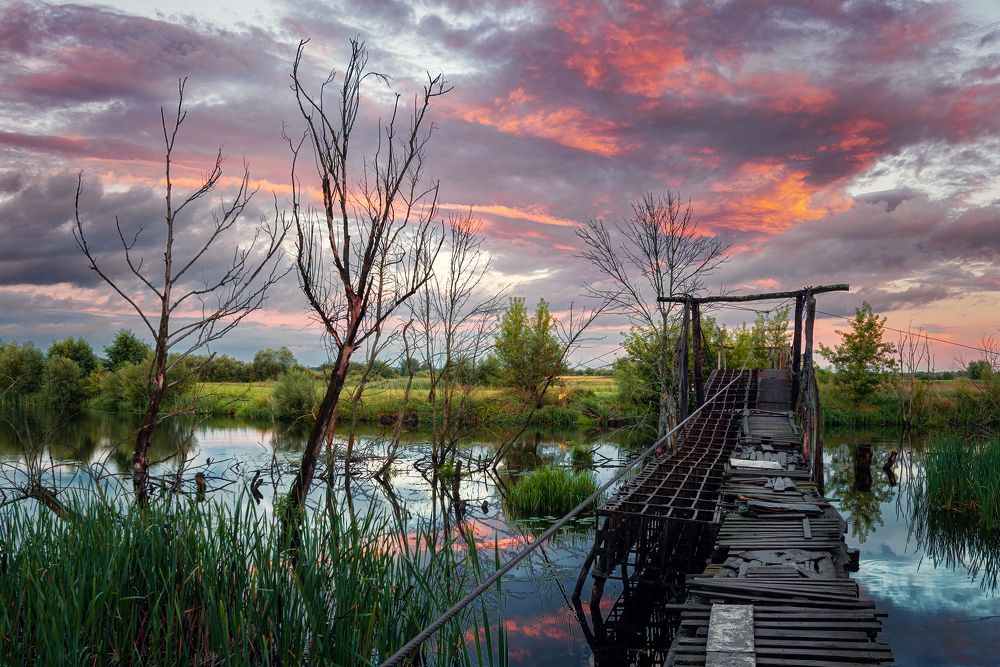 Photograph by Павел Абакумов