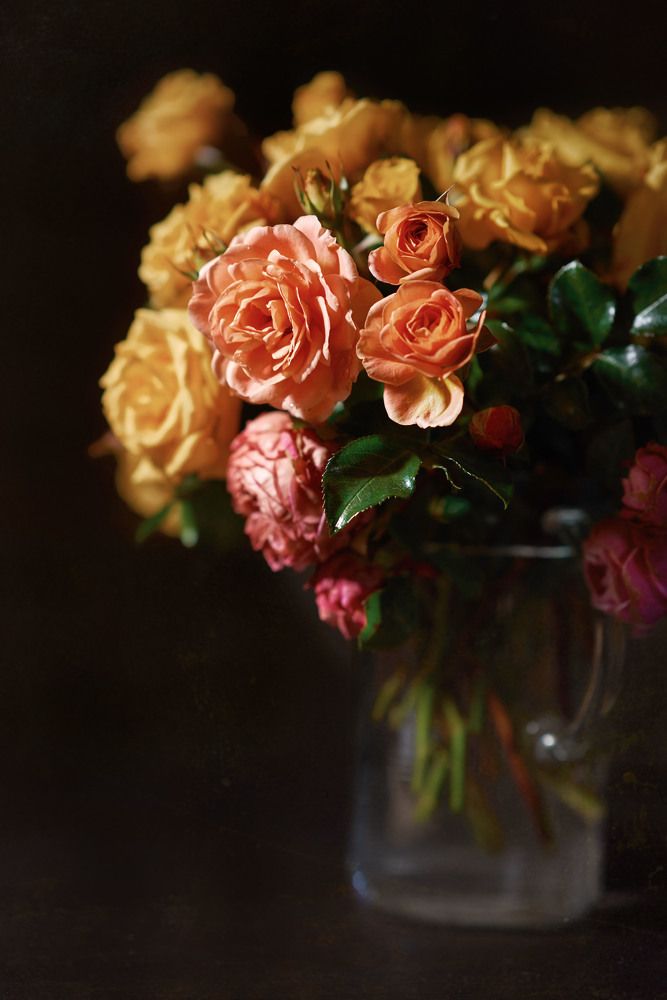 Photograph by Оксана Сироштан