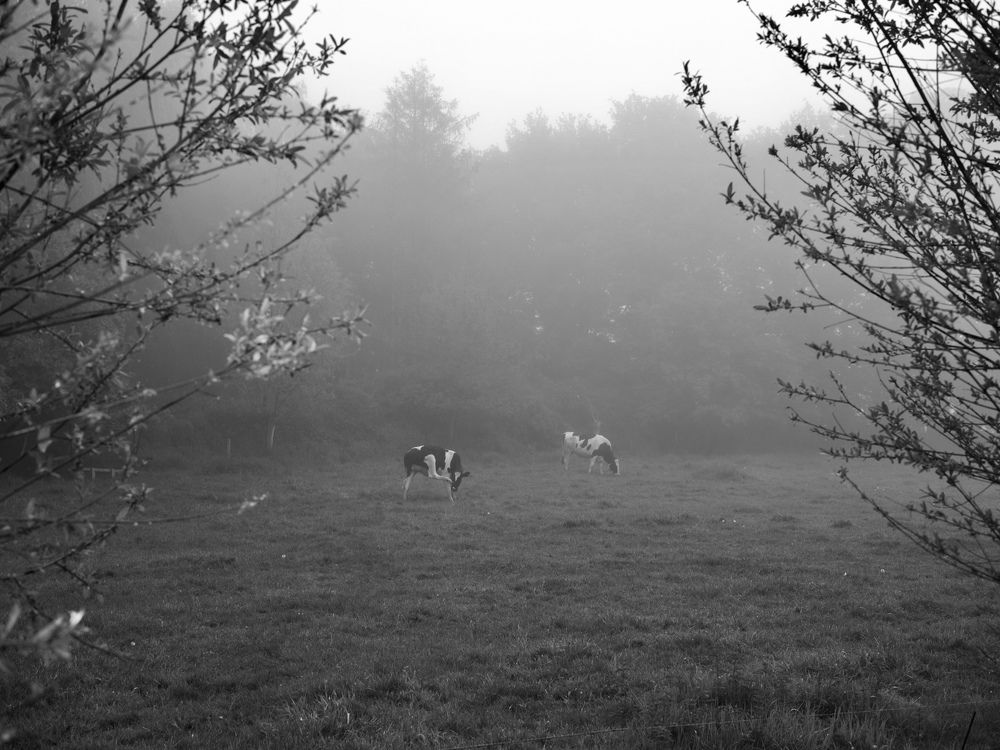 Photograph by Alfonso Bricegno