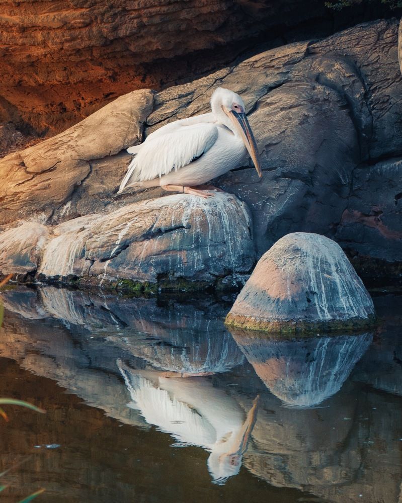 Photograph by Артур Газиев