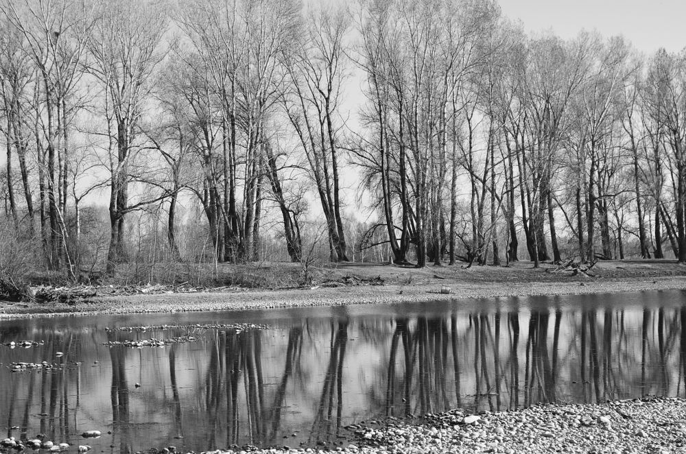 Photograph by Александр Горлов